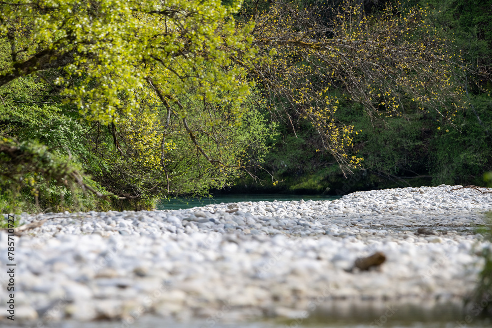 Fototapeta premium L'Allondon Rivière sauvage à l'embouchure du Rhône