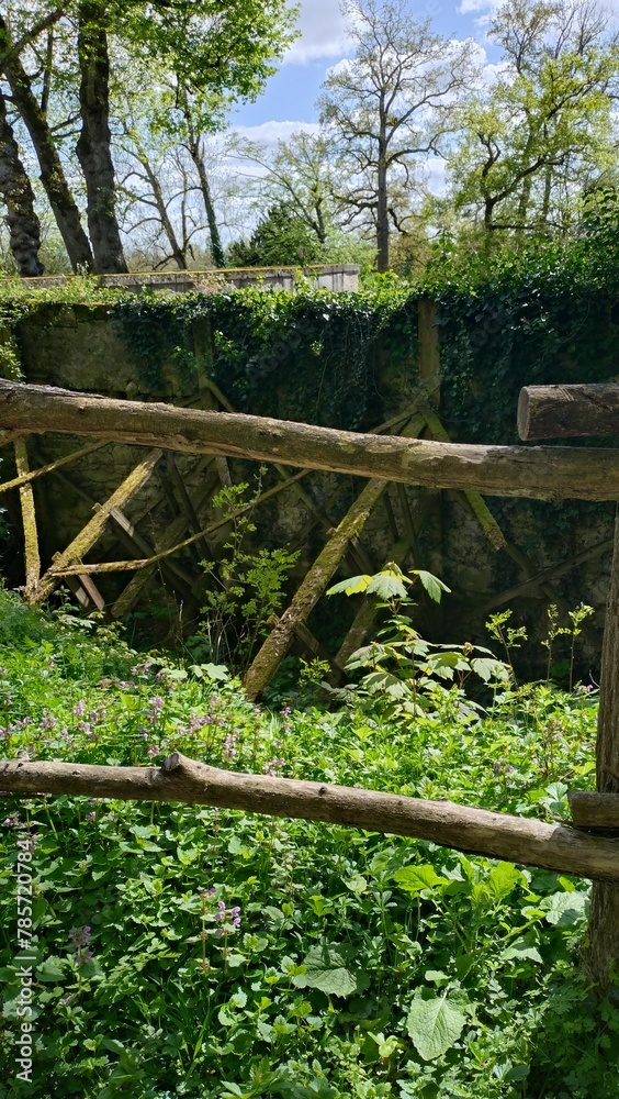 Promenade dans le parc de Châteauneuf-sur-Loire Promenade dans le parc de Châteauneuf-sur-Loire