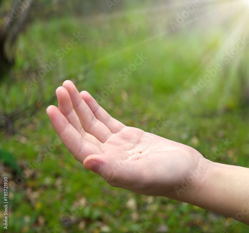 Hand holding small mustard seed © Marina