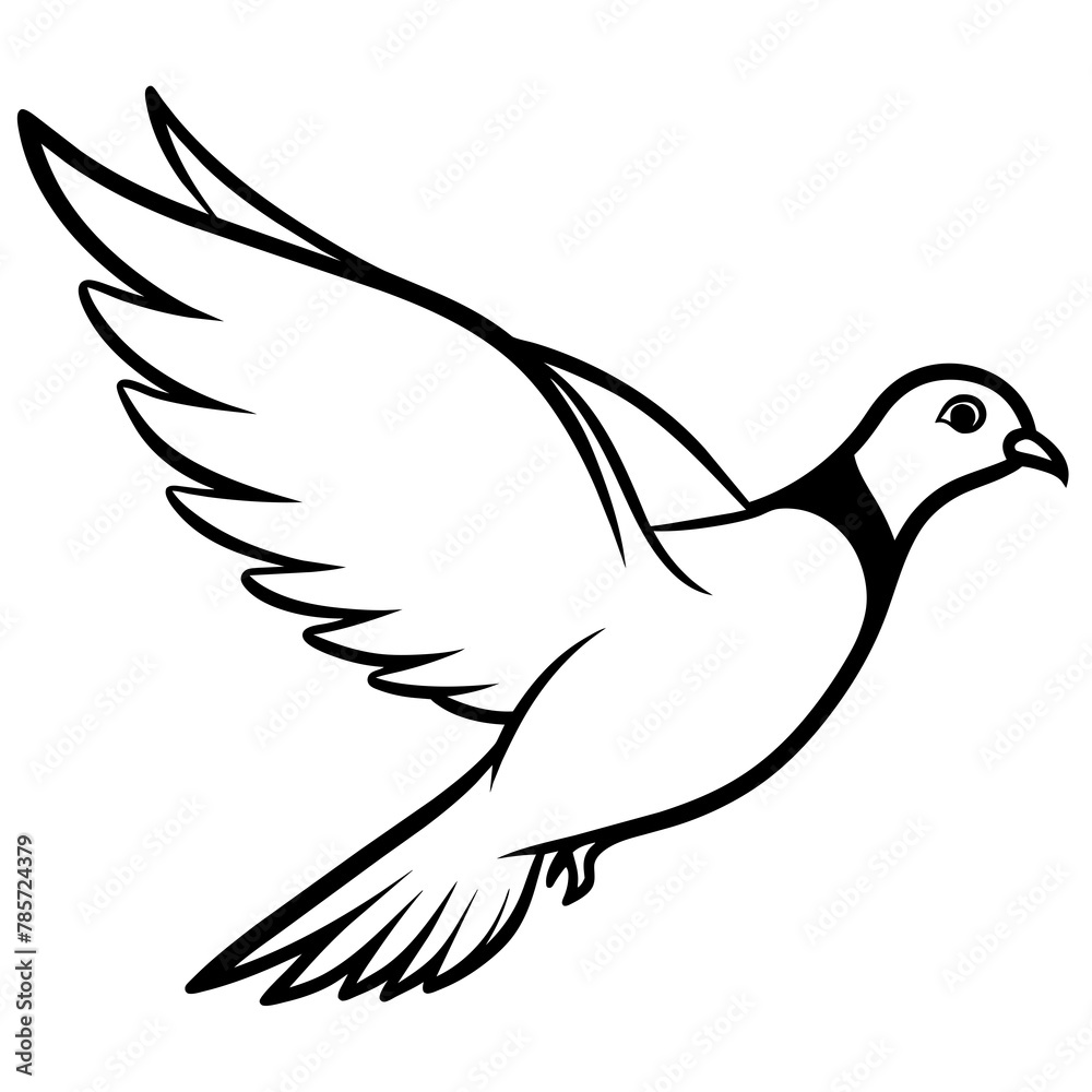 dove on white
