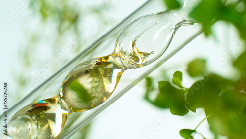 Obraz na plátně Getting essential oil from natural substances and flowers