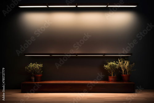 Houseplants in flowerpots on shelf in dimly lit room copyspace. Close up of empty wooden rack featuring houseplants at edge, set in dark interior with lighting focusing on the shelf and plants photo