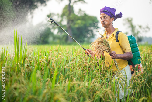young male farmer using crop sprayer in the agricultural field and holding paddy crops