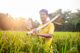 portrait of a farmer showing his saving money standing in the paddy field with a smiling face