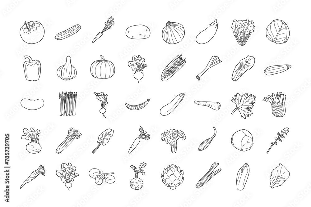 Linear icons of various vegetables. Black and white vector illustration set.