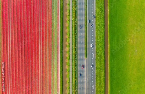 Drone view of a road in the middle of a field. Landscape from a drone. Road and transport. Car traffic. A field with rows of flowers. View from above. Agriculture and growing plants. © biletskiyevgeniy.com