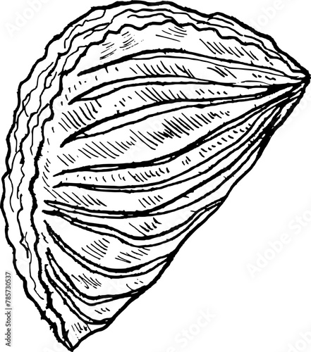 Apple turnover chausson aux pommes french pastries sweets hand drawn vector illustration for poster, print, home decoration, menu cover, invitation, design template. 