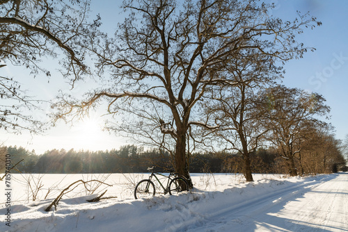 Tapety artystyczne Winter in Poland