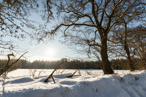 Fototapeta Winter in Poland