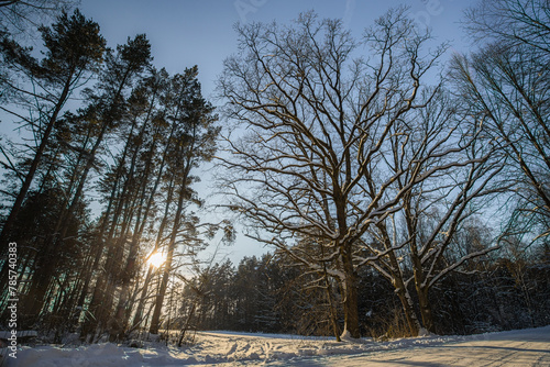 Fototapeta Naklejka Na Ścianę i Meble -  Winter in Poland