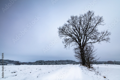 Winter in Poland