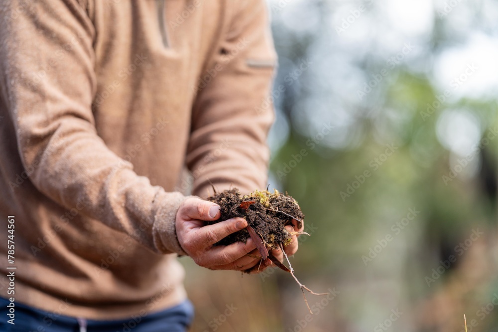 agronomist on a farm practicing agronomy holding soil, doing soil tests in her home laboratory. Looking at soil life and health and compost in fingers