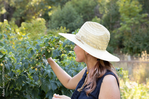 Young woman in straw hat picking berries in garden photo