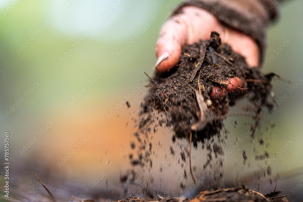 farmer holding soil in hand and pouring soil on ground. connected to the land and environment. soil agronomy in australia. soil heath study