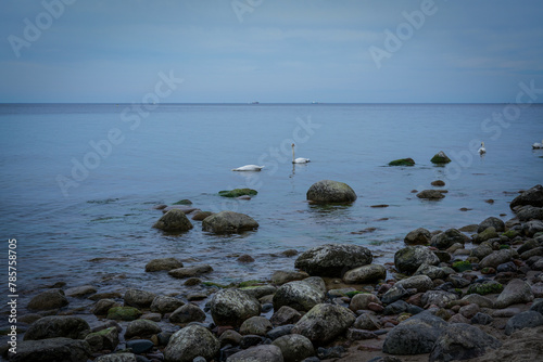 Coastline in Gdynia, Poland.  © astaszczyk