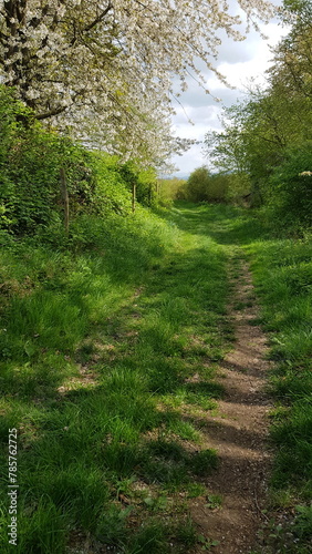 Perspectives around the Scharfenstein parking lot on the 
A49 near 
34281 Gudensberg in North Hesse photo