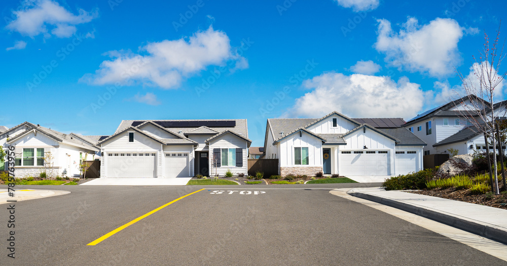 Obraz premium Single story suburban Homes
