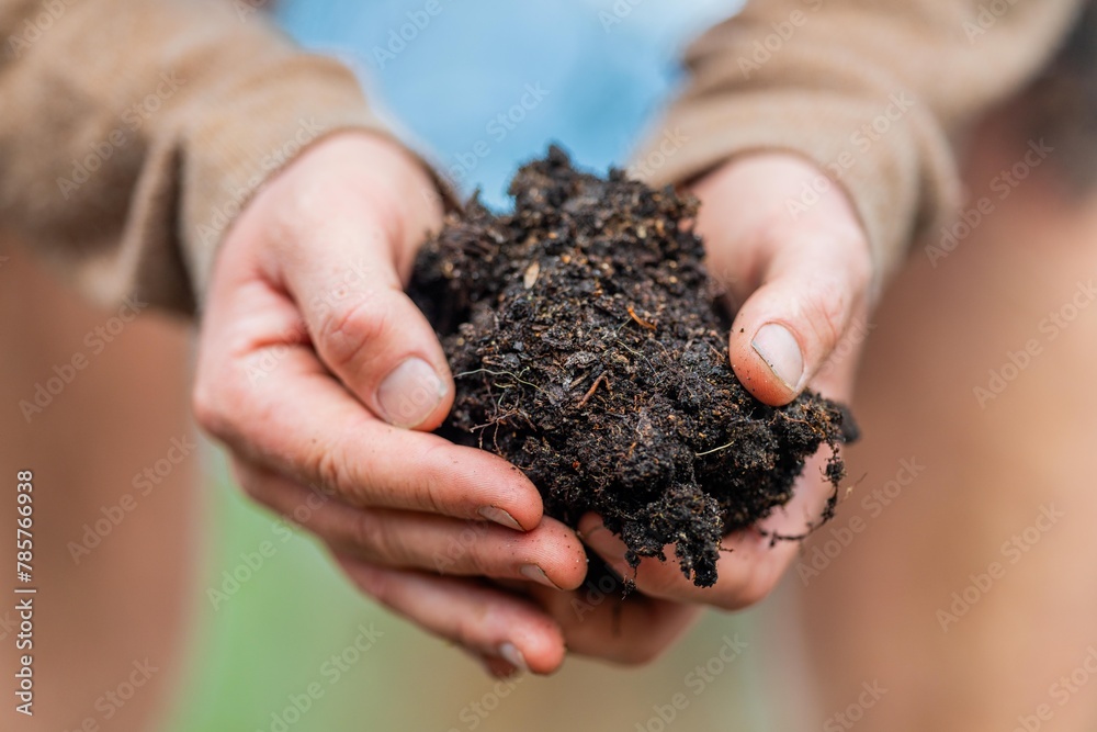 university student conducting research on forest health. farmer collecting soil samples in a test tube in a field. Agronomist checking soil carbon and plant health on a farm in australia university student conducting research on forest health. farmer collecting soil samples in a test tube in a field. Agronomist checking soil carbon and plant health on a farm in australia