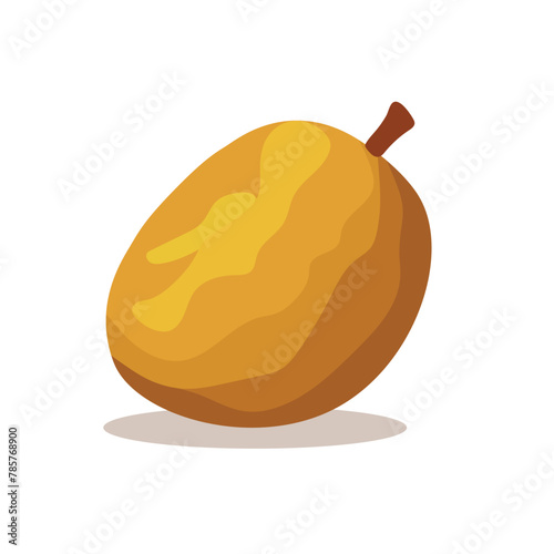 Sawo or sapodilla fruit vector illustration, manilkara zapota or chicozapote flat icon, chicoo or chicle image,naseberry or nispero, soapapple isolated on white background  photo