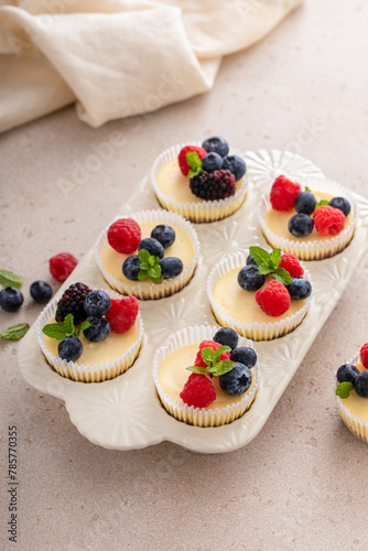Mini vanilla cheesecakes cooked in a muffin pan served with fresh berries © fahrwasser