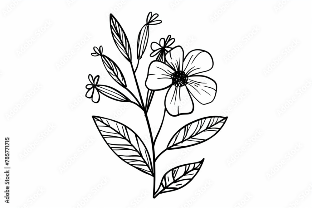 Flower doodle hand drawn line stroke. Sketch hand drawn spring floral plant, nature graphic leaf, scribble grunge brush texture. Vector simple flower, leaf brush stroke. Vector illustration vector ico