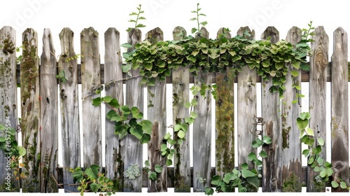 wooden fence with green bushes on white background in high resolution © Marco