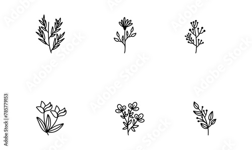 Botani Flower Vectors Icon Set