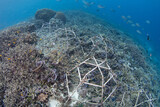 Metal structures have been put on the seafloor as a coral reef restoration project in Raja Ampat, Indonesia. The structures are supposed to give coral a hard substrate on which to grow.
