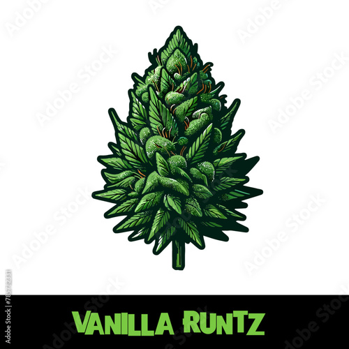  Vector Illustrated Vanilla Runtz Cannabis Bud Strain Cartoon