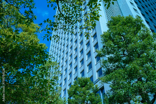 高層ビル　緑の木