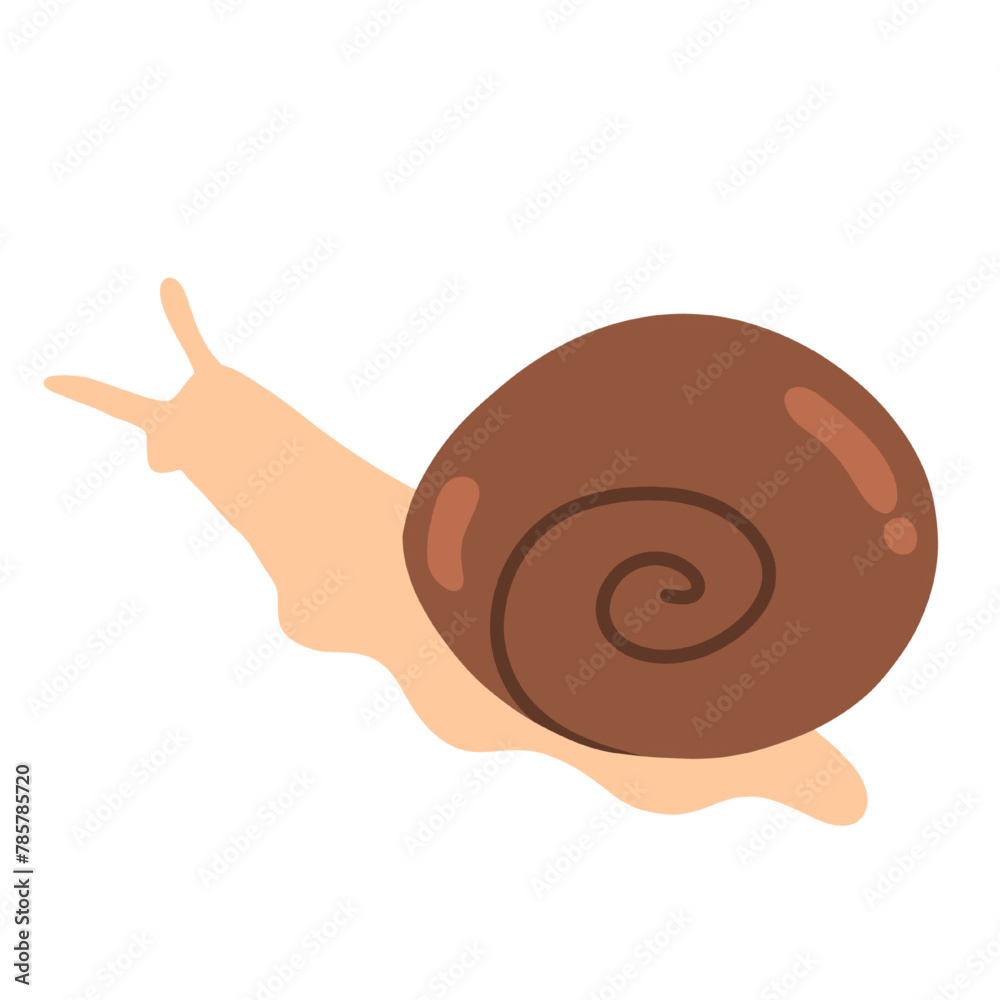 snail flat style vector illustration isolated on a white and transparent background