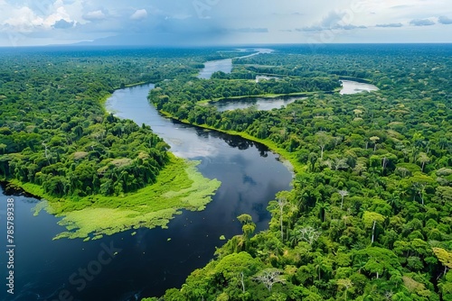 aerial view of the lush amazon river and tropical rainforest landscape