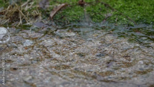 순간의 아름다움, 물방울
the beauty of the moment, the drop of water photo