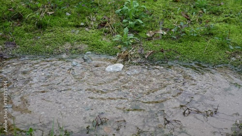 순간의 아름다움, 물방울
the beauty of the moment, the drop of water