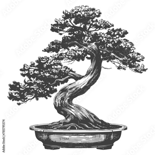 bonsai tree images using Old engraving style body black color only