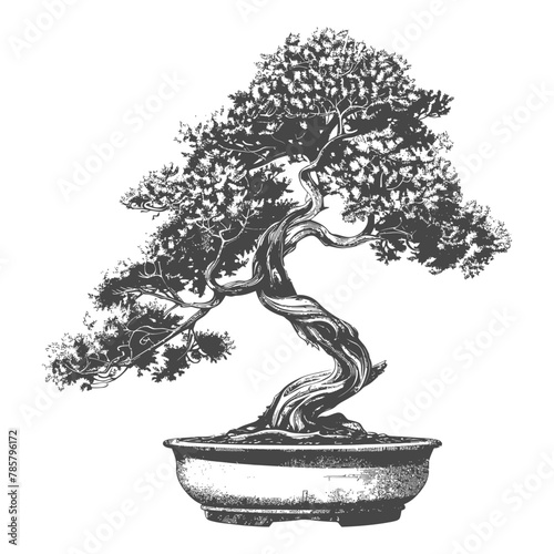 bonsai tree images using Old engraving style body black color only