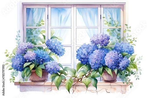 Illustration of a window with blue hydrangea on it © hungryai