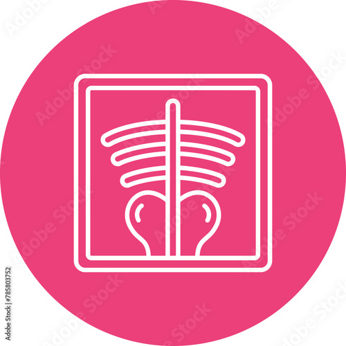 X-ray Icon