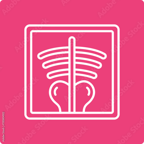 X-ray Icon