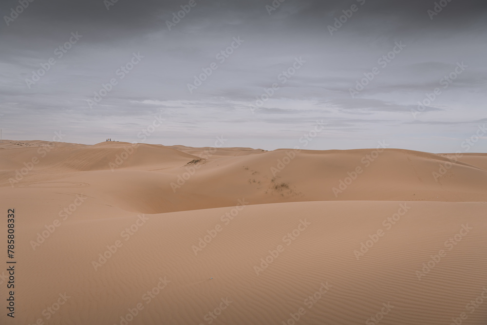 The Gobi desert landscape with the massive dunes and people far away