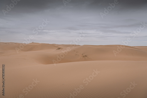 The Gobi desert landscape with the massive dunes and people far away