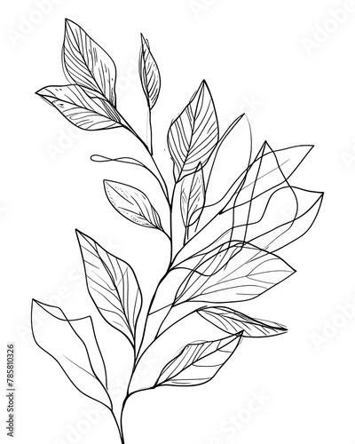 PNG  Continuous line drawing branch with leaves pattern sketch plant © Rawpixel.com