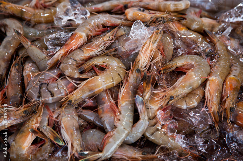 View of the raw shrimps in the market