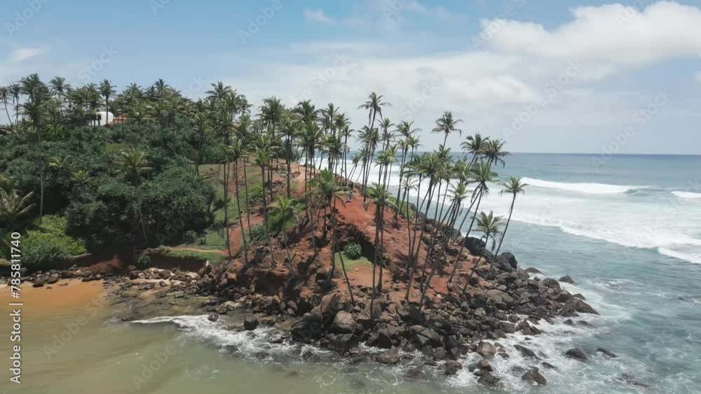 Aerial drone view of palm trees at Mirissa, Sri Lanka Aerial drone view of palm trees at Mirissa, Sri Lanka