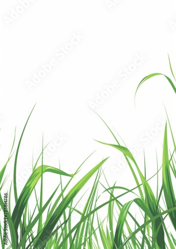 Elegant Green Grass Poster Template - Professional Vector Illustration for Stylish Designs