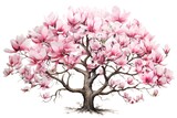 Watercolor pink magnolia tree isolated on white background. Hand drawn illustration.