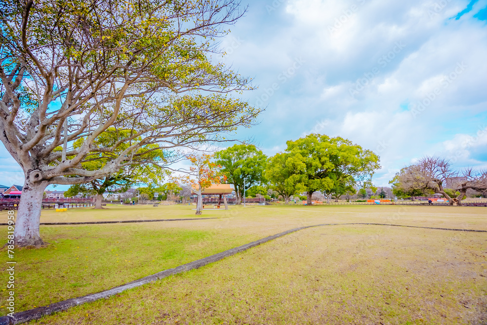 Fototapeta premium 【熊本】水前寺江津湖公園