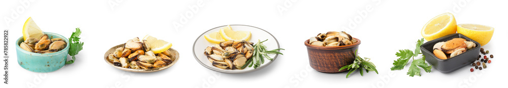 Set of tasty marinated mussels on white background Set of tasty marinated mussels on white background