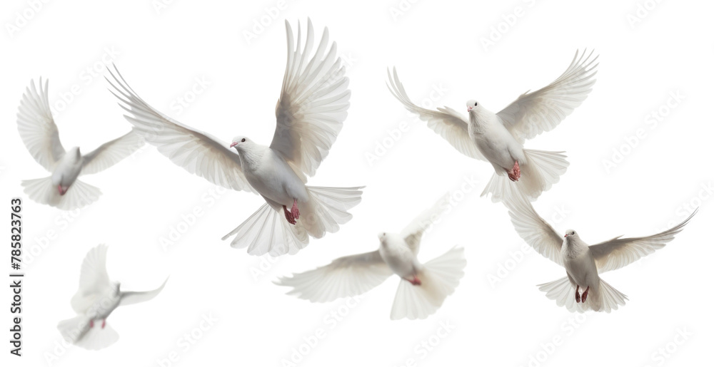 Fototapeta premium PNG Group of doves flying in the sky animal white bird