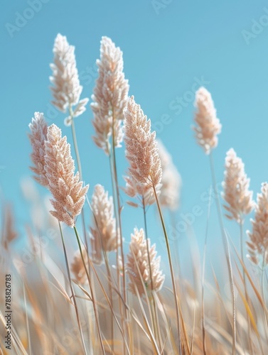 Minimalistic image of desert flora against a clear blue sky.